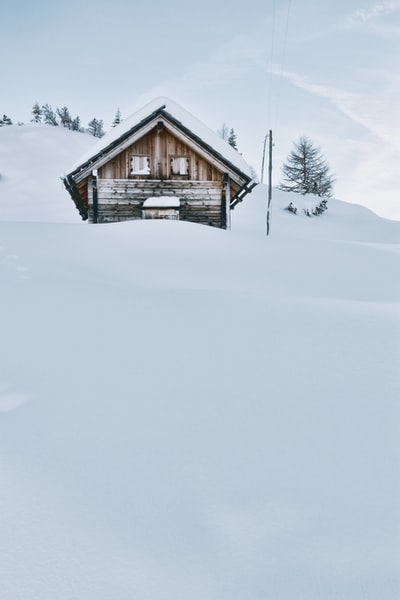 棕色的木质小屋覆盖着雪
